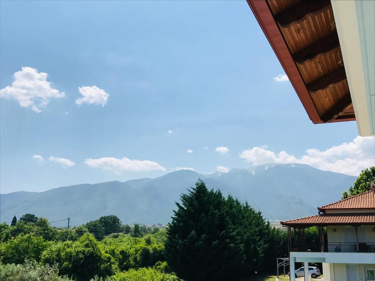 Villa Dimeli à Litochoro Extérieur photo